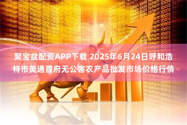 聚宝盆配资APP下载 2025年6月24日呼和浩特市美通首府无公害农产品批发市场价格行情