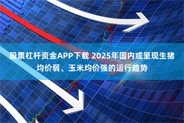 股票杠杆资金APP下载 2025年国内或呈现生猪均价弱、玉米均价强的运行趋势