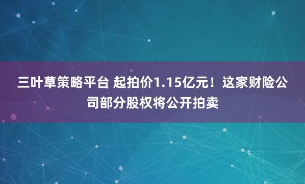 三叶草策略平台 起拍价1.15亿元！这家财险公司部分股权将公开拍卖