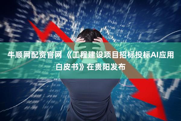 牛顺网配资官网 《工程建设项目招标投标AI应用白皮书》在贵阳发布